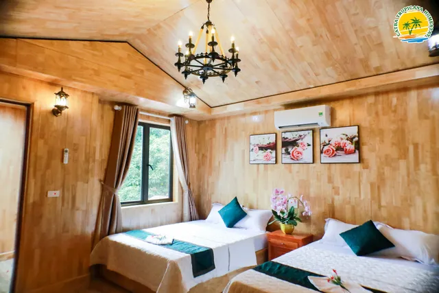 Catba Tropicana Homestay