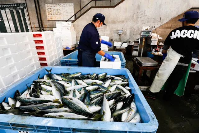 函館市水産物地方卸売市場