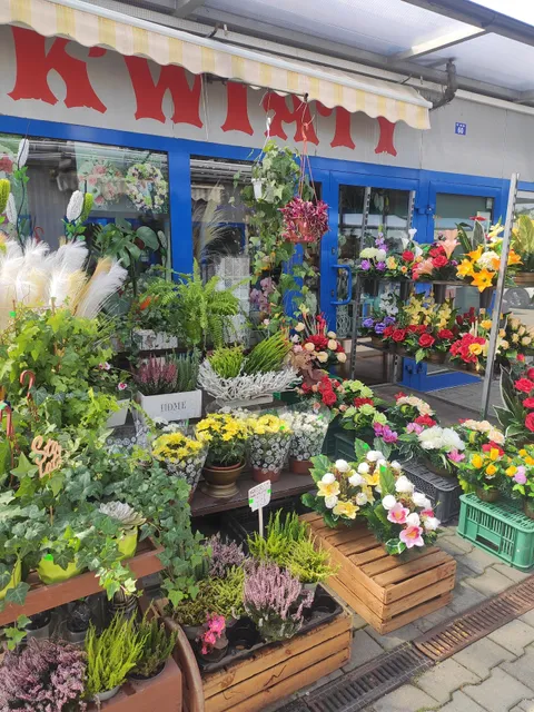 Plac Targowy Prokocim