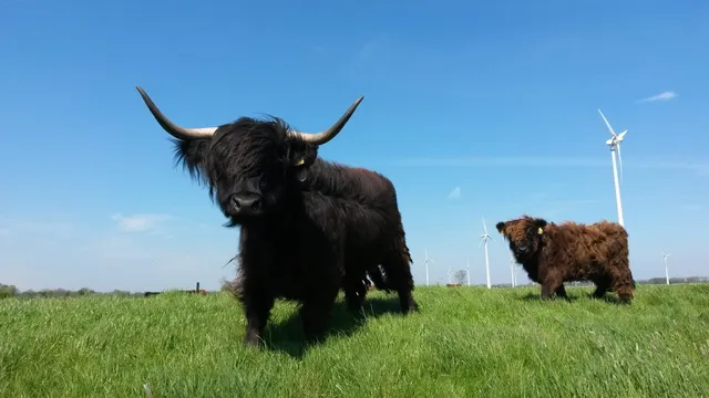 Biolandhof Dorn GbR Monika u. Günter Dorn