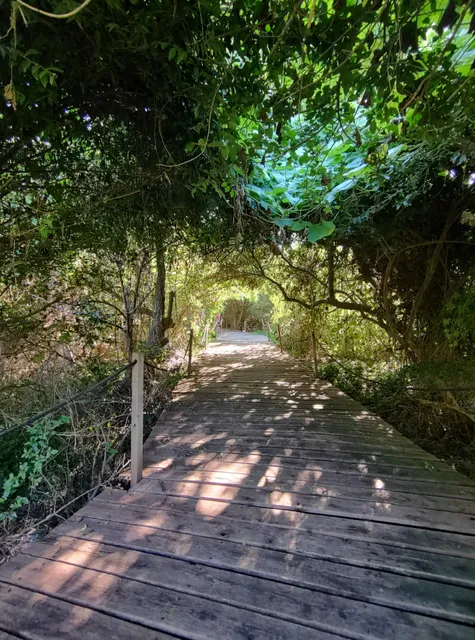 Reserva Ecologica SARANDI