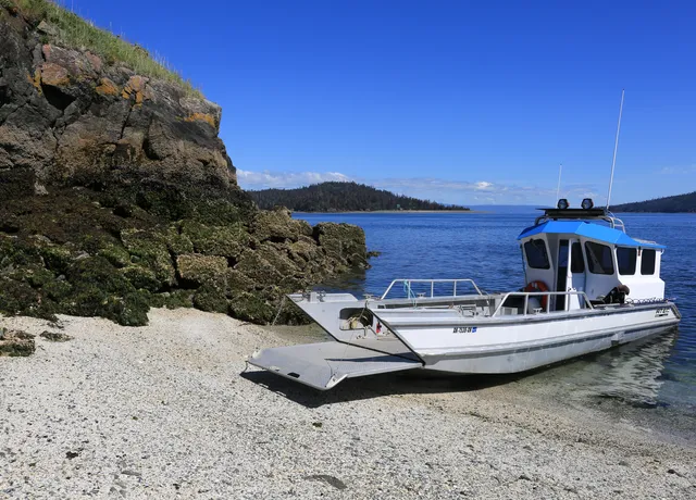 Alan's Water Taxi & Kachemak Bay Adventures