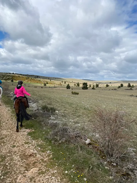 Prior Daniau Beatrice Eric