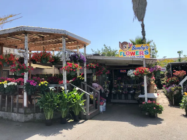 Bamby's Flowers