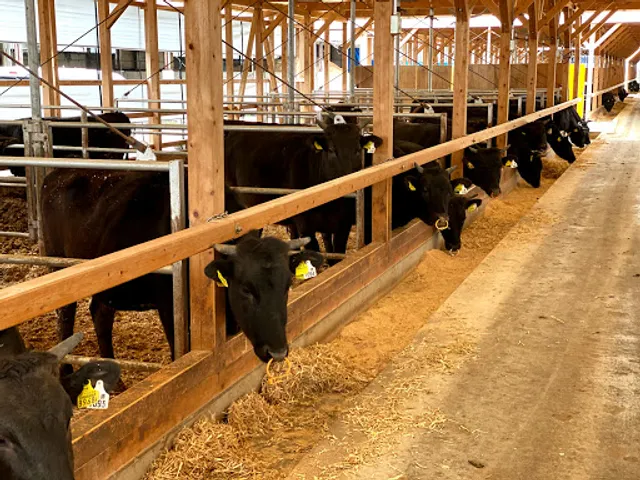 近江牛ホルモン畜産すだく南彦根店