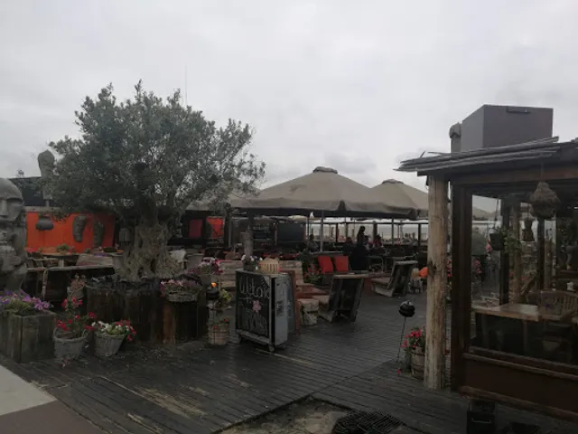 RFC Chicken Palace To Go Scheveningen