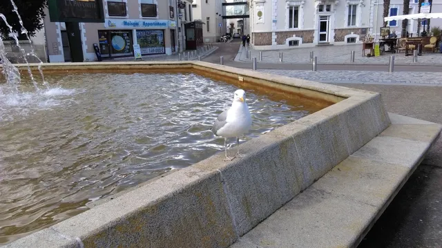Caisse Centrale d'Activité Sociale