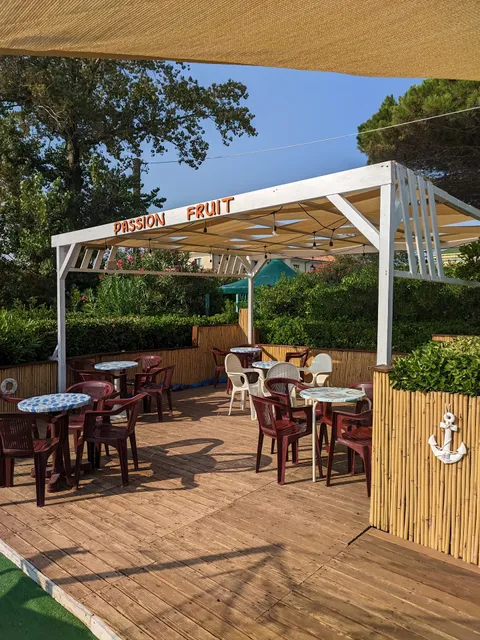 Santoro Passion Fruit