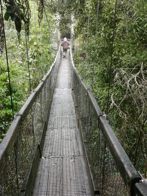 Cannon Point Walkway Bridge Rd Car Park