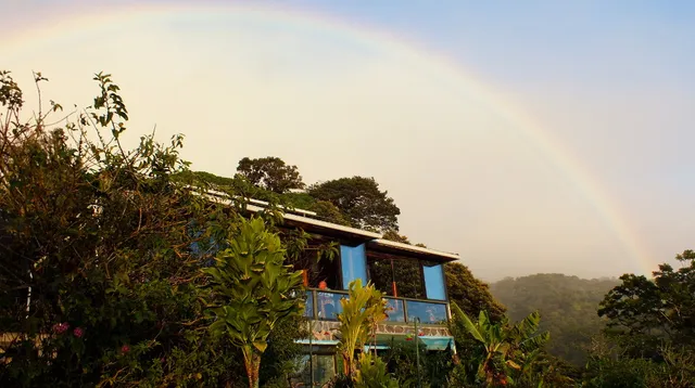Hidden Canopy Treehouses