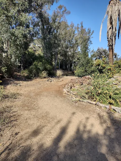 Switzer Canyon - East