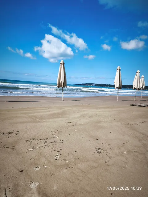 Summer Front Sea House