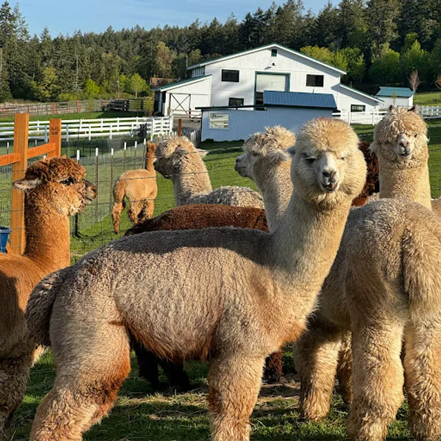 The Farm at Krystal Acres