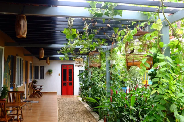 Trại Hoa Vàng Homestay & cafe