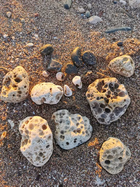 Bebek Şehrin Yeni Trendi