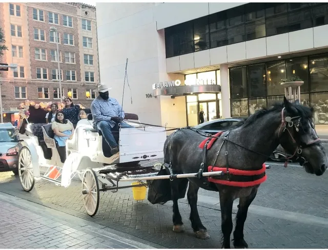 Lone Star Carriage Co