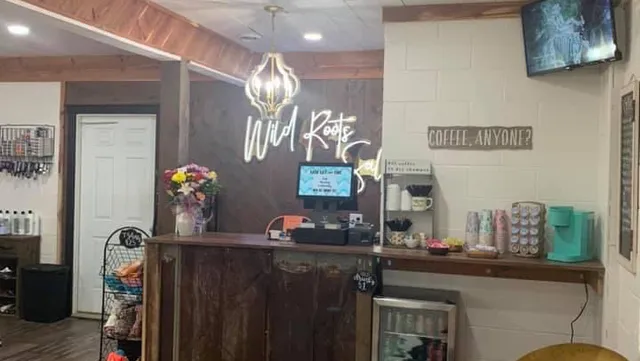 Wild Roots Salon