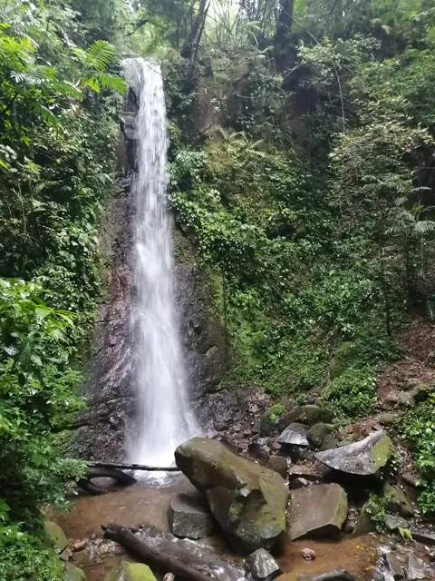Reserva Forestal Bosque del Niño Grecia