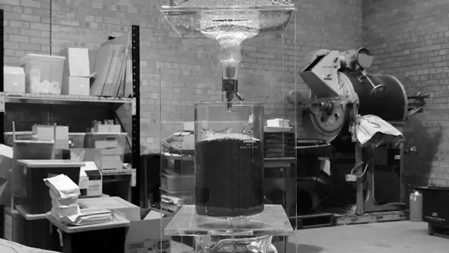 Seventhwave Coffee & Tea