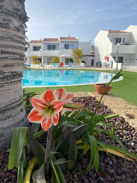 Malibu Park apartment