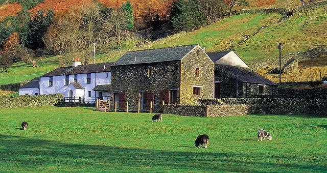 Fornside Farm Cottages