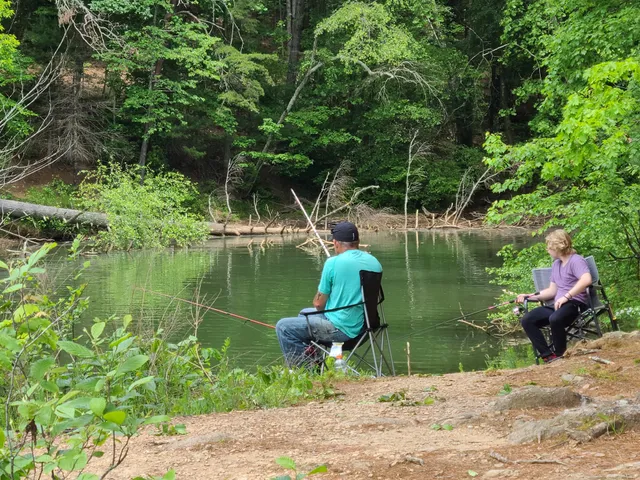 Sawmills Veteran's Disc Golf Course