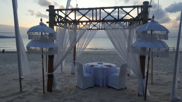 The Happy Mango Tree