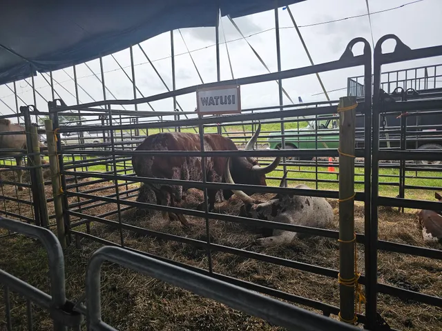 Feria Agrícola Nacional Del Valle De Lajas