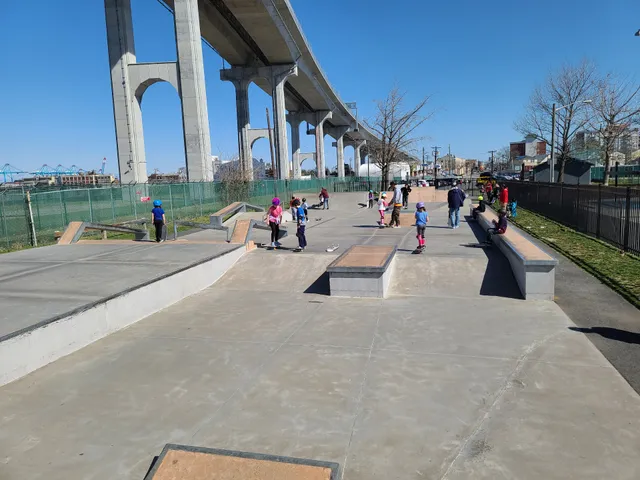 Collins Park Skatepark