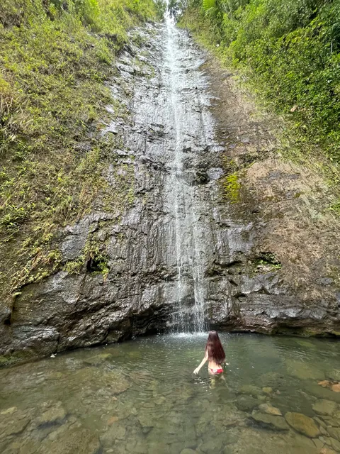Mānoa Falls