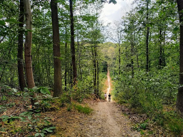 Foret de Montmorency