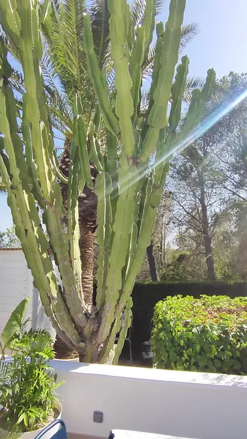 La Villa Romantica résidence de tourisme en espagne