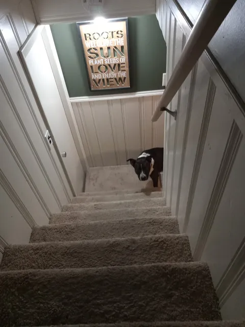 Popcorn's Dream Candy Shoppe