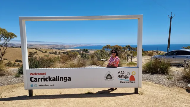 Carrickalinga Lookout