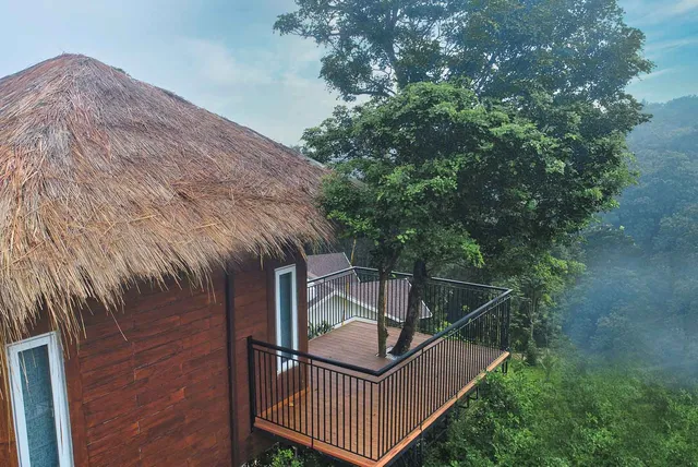 Jungle Bay Resorts and Spa