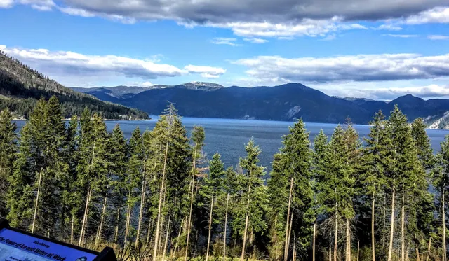 Farragut Wildlife Management Area