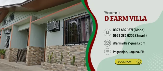 D FARM VILLA Transient Inn