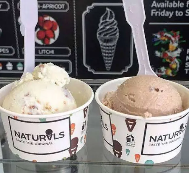 Naturals Ice Cream