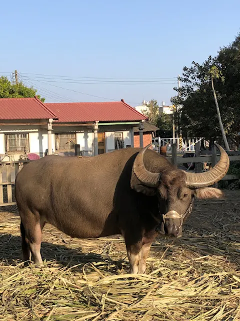 拖拖拉拉牛耕隊