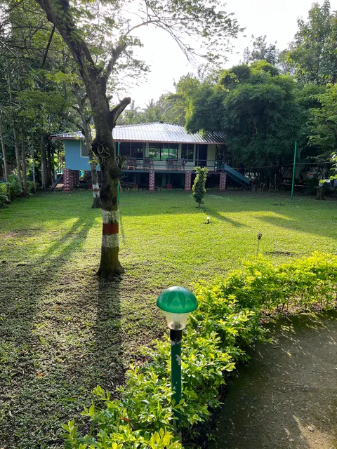 Forest Photo Shoots Point Hotel Surya Beach Inn