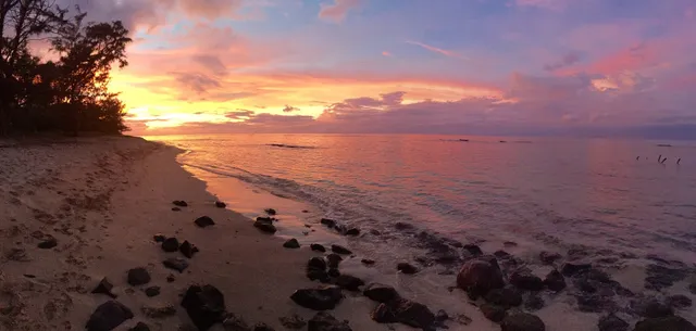 Hawaii Polo Oceanfront Trail Rides