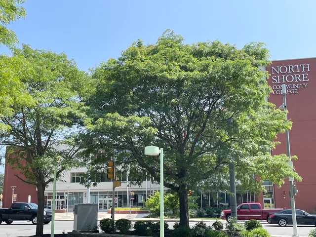 North Shore Community College