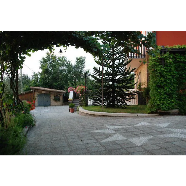 B&B La Casa sull'Aia