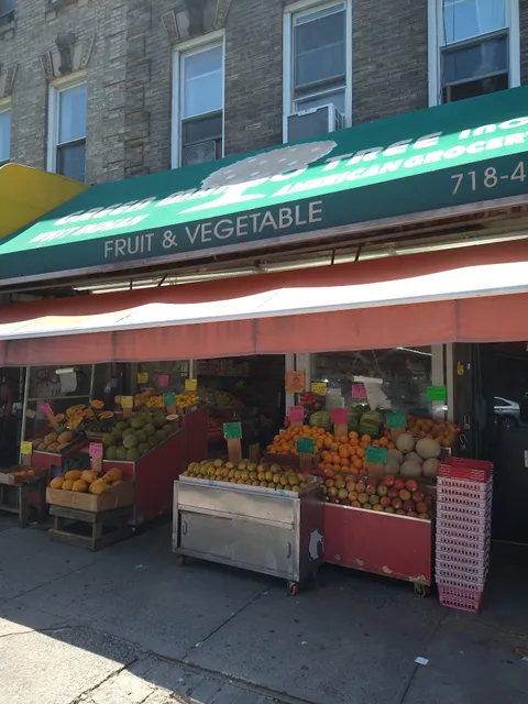 Green Mango Tree - Food Market