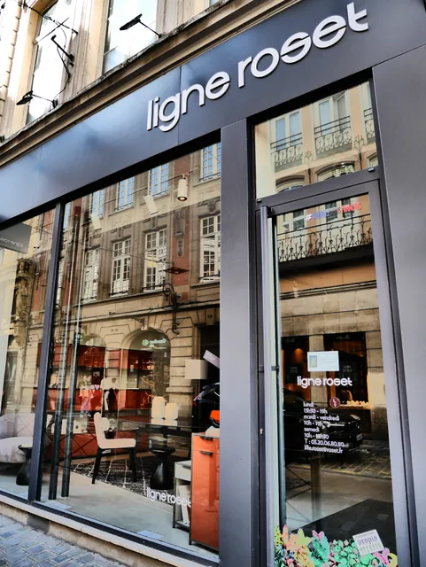 Ligne Roset Lille - Meubles et Canapés Design