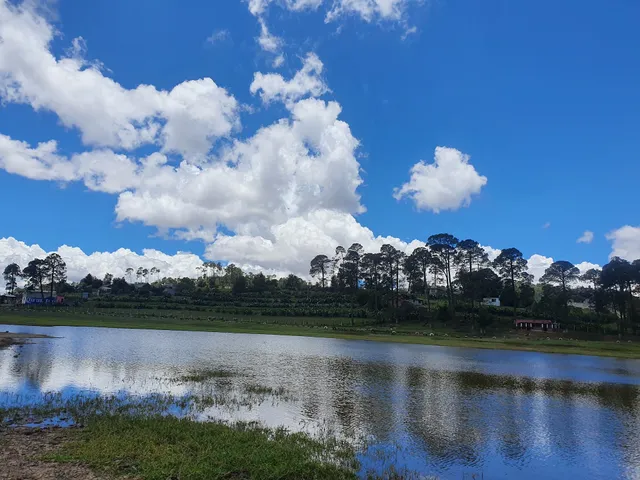 Presa De Rancho El Guajolote