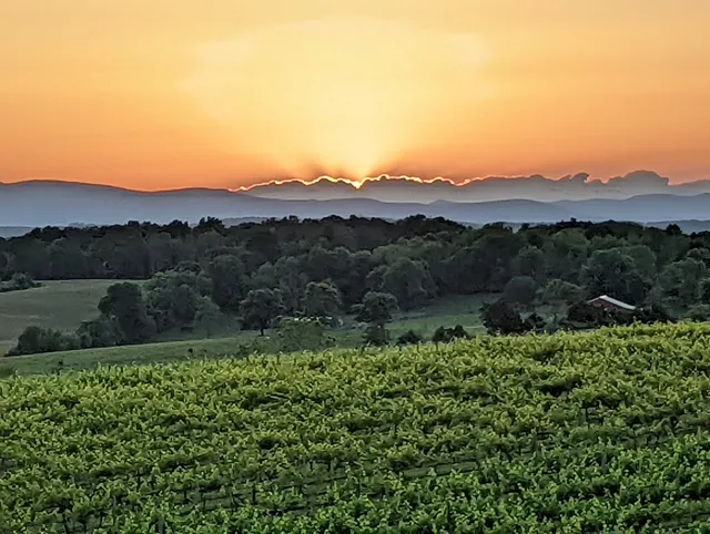 Barren Ridge Vineyards