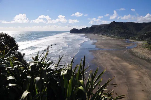 North Piha Beach