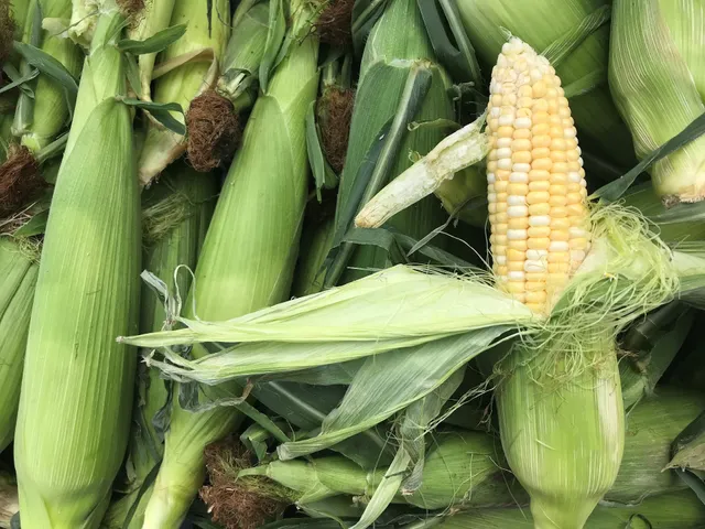 Summer Market on Military