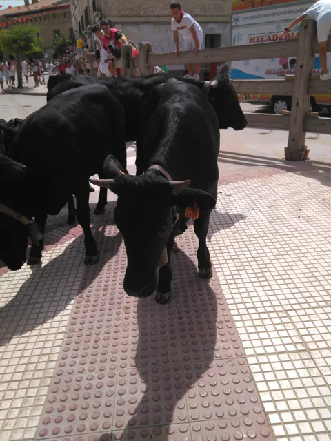 Bar de Jubilados Virgen del Yugo